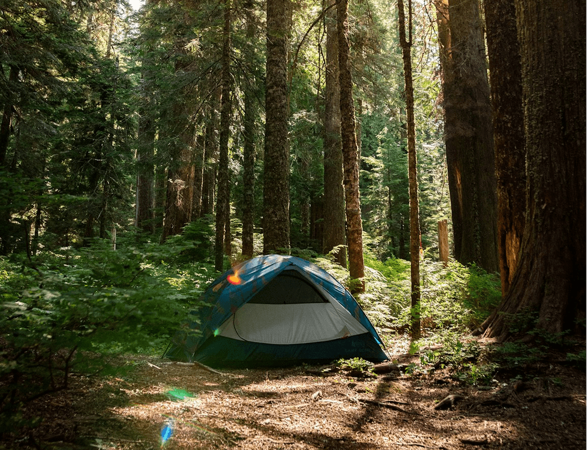 Runnings AppBuilder thumbnail