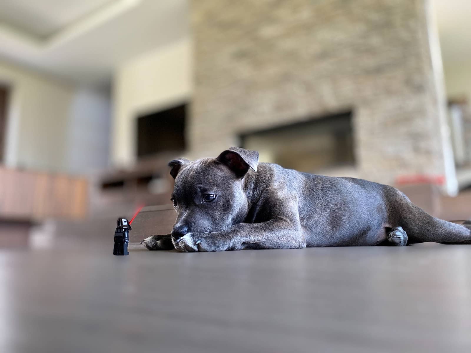 A New Hope A Star Wars and Magento Migration - Featured Image