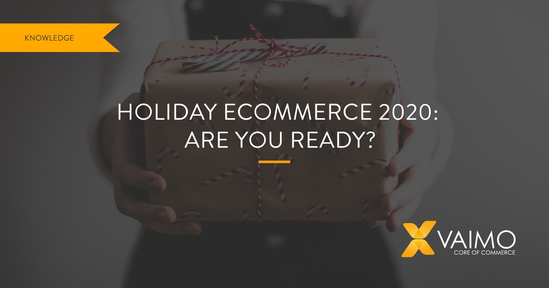 An Unusual Ecommerce Holiday Season Awaits - Featured Image