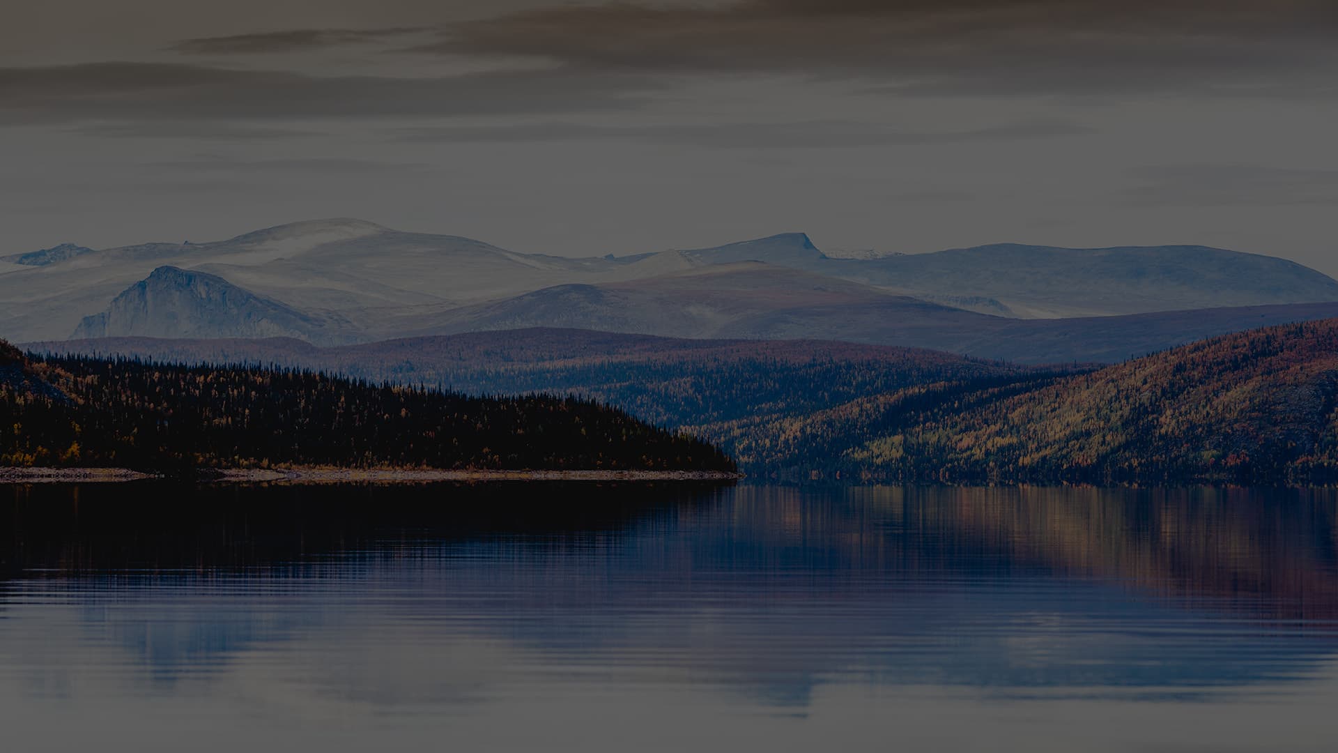 Design a digital experience for everyone OG Image