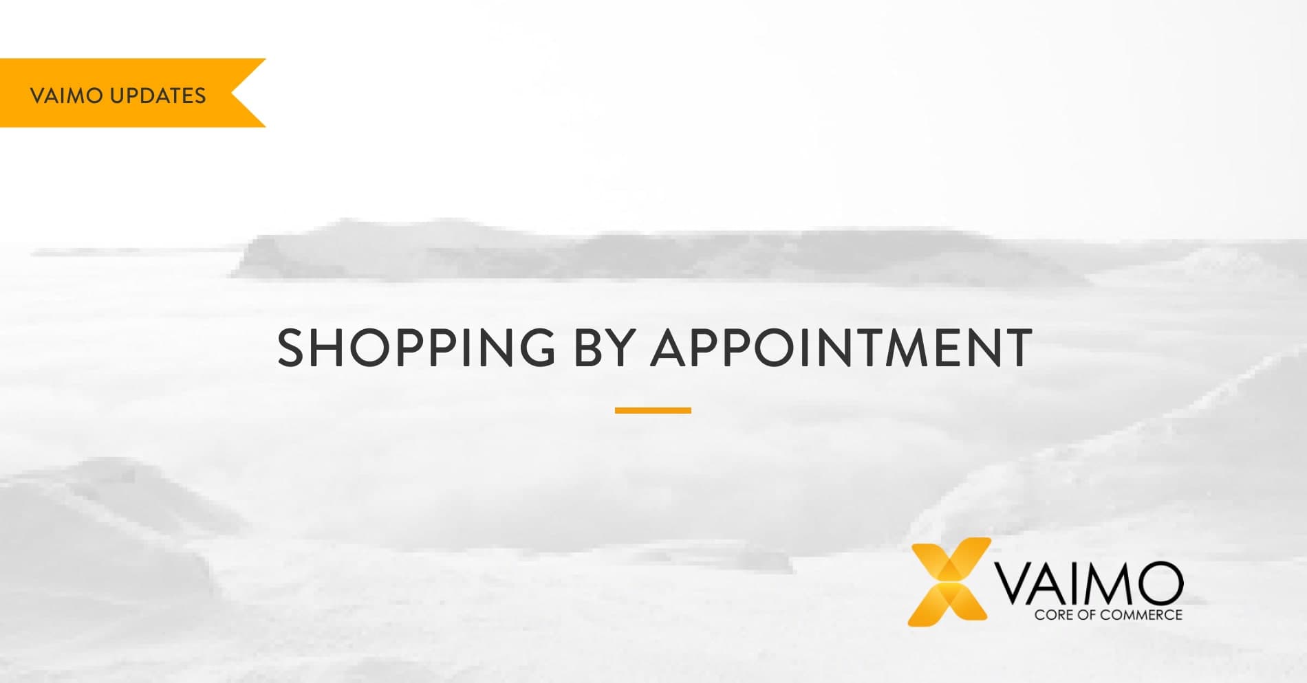 Shopping by Appointment - Featured Image