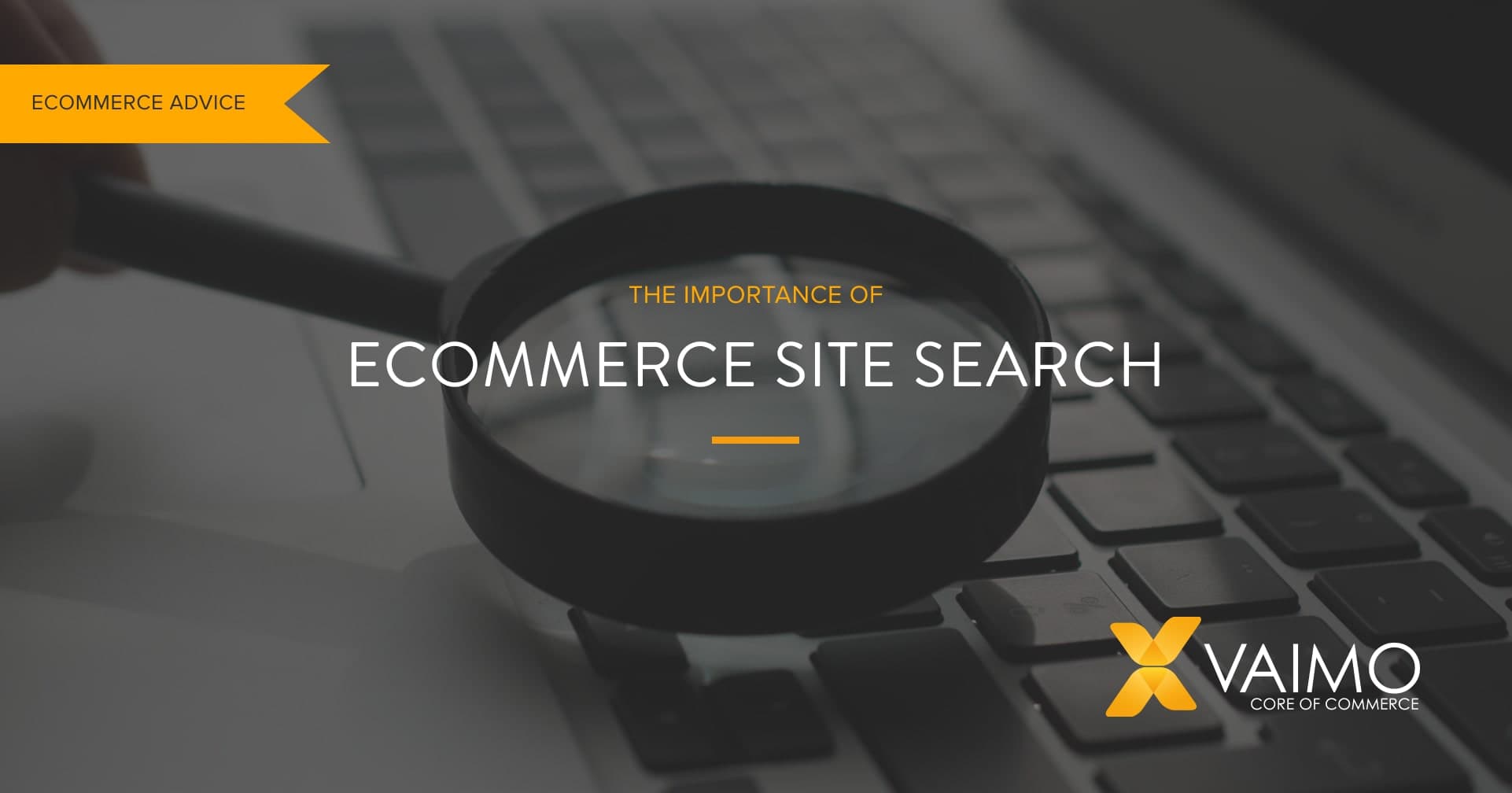 Customer Experiences Ecommerce Site Search - Featured Image