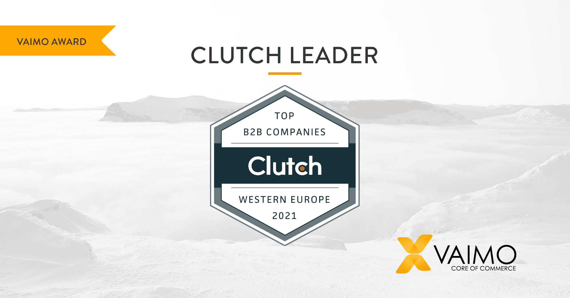 Vaimo Clutch Leader Award Western Europe - Featured Image