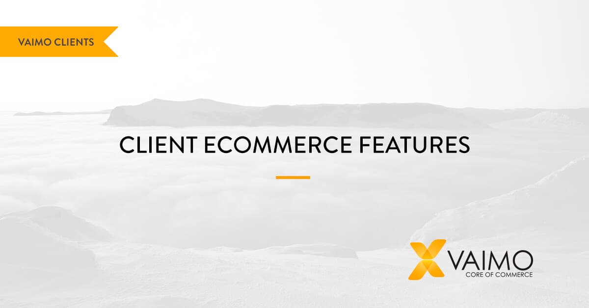 Our Clients' Top Ecommerce Features - Featured Image