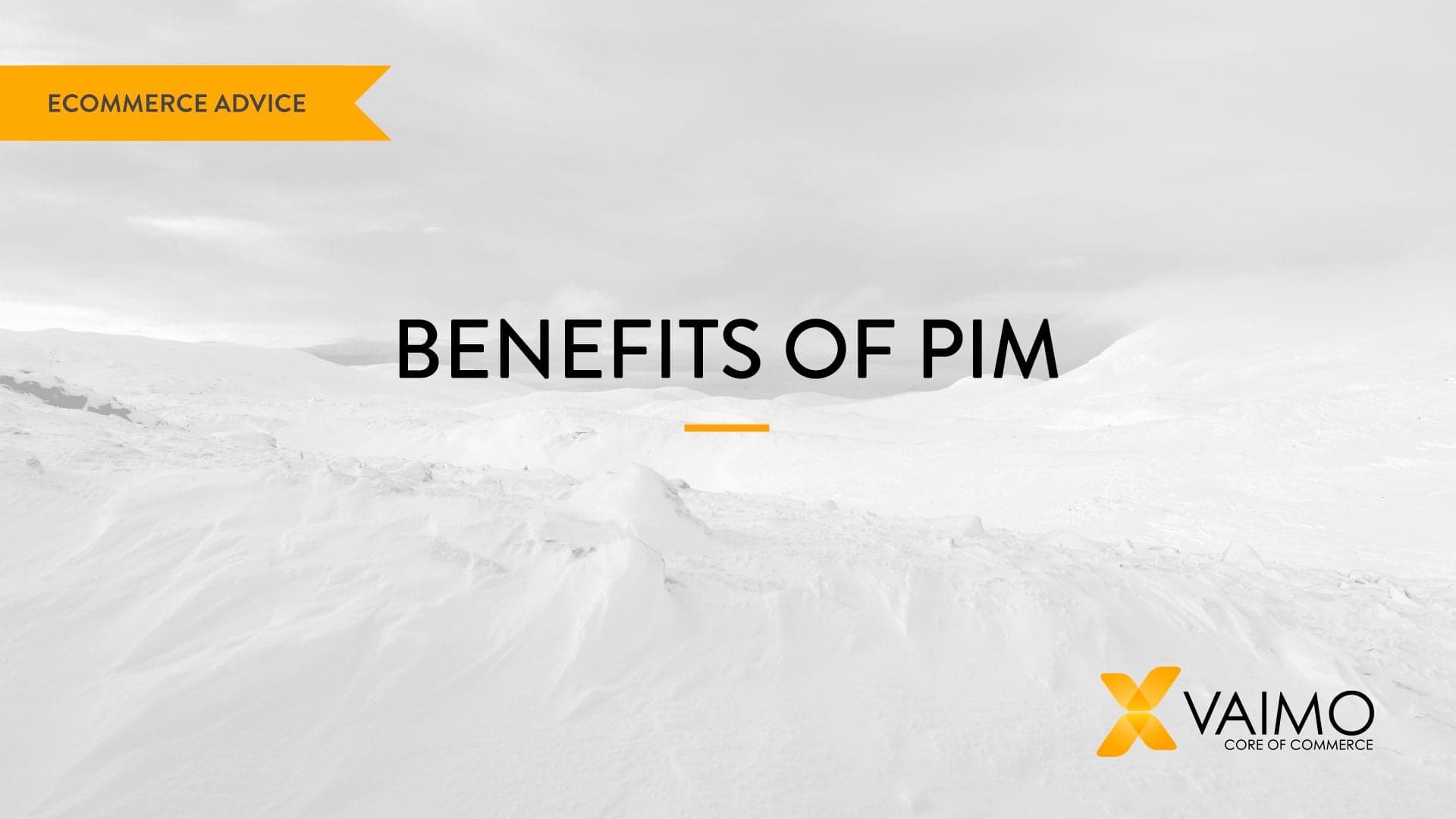 Too Much Info? The role of PIM in Digital Transformation - Featured Image
