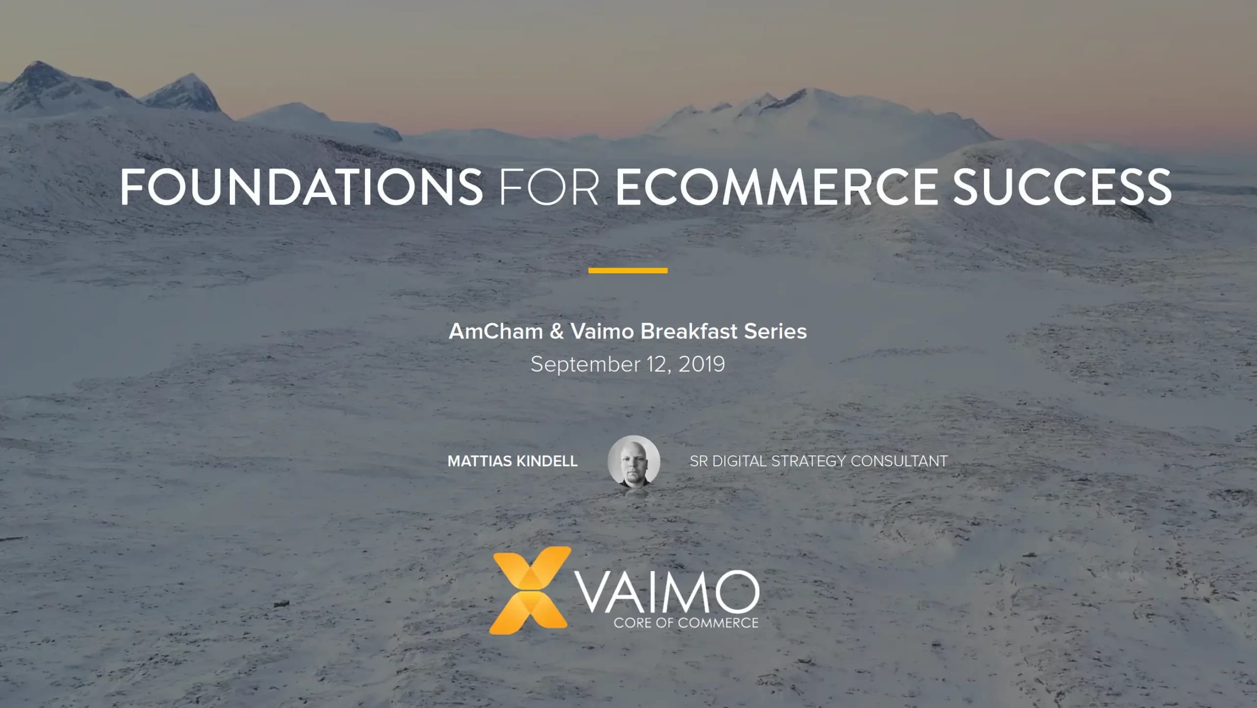 Foundations Ecommerce AmCham Vaimo - Featured Image