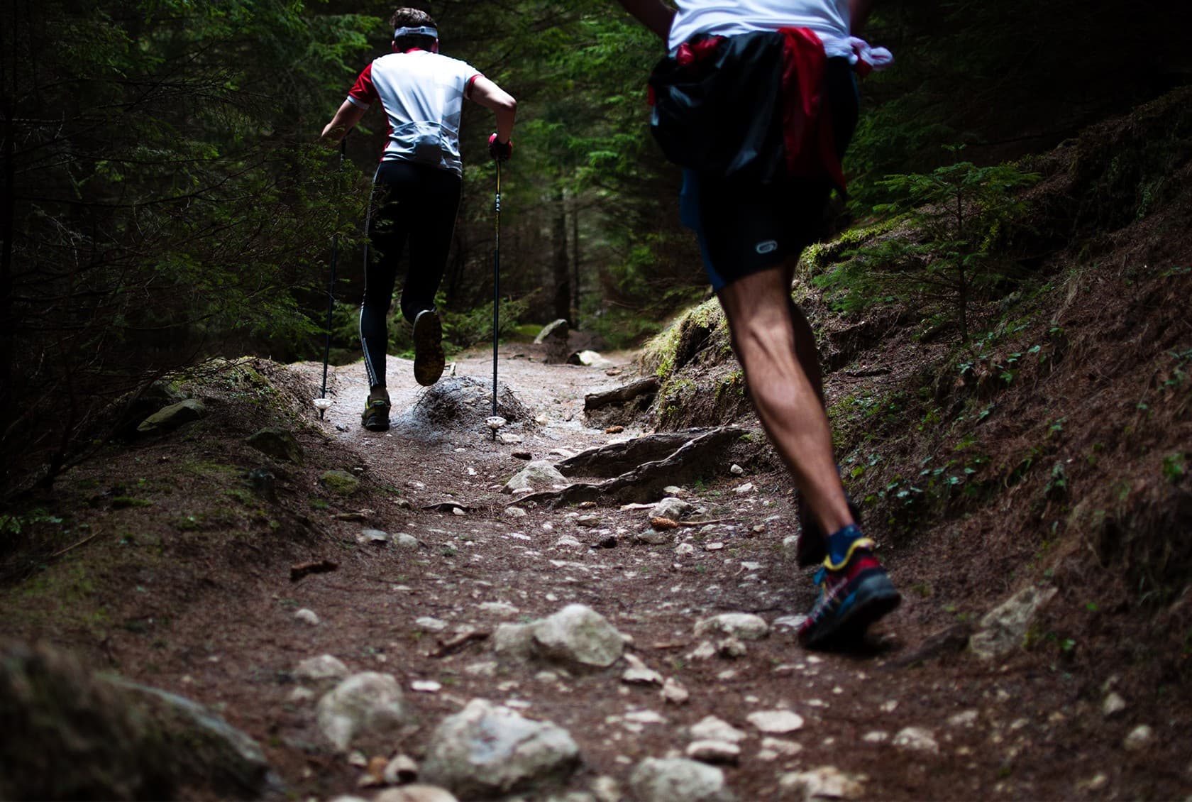 cape-union-mart-vaimo-ecommerce-magento-siteheader-capeunion