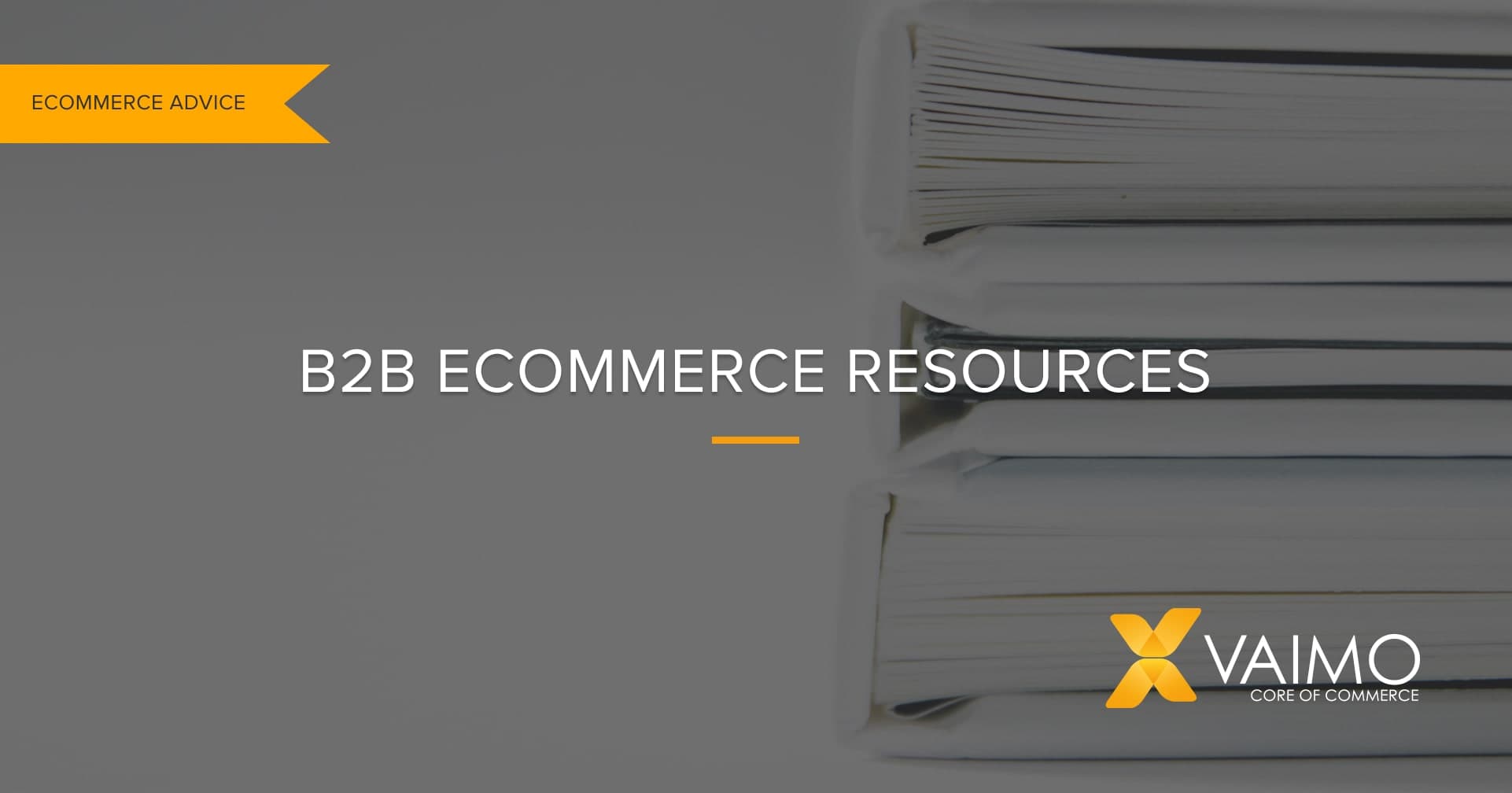 B2B Ecommerce Resource Guide - Featured Image