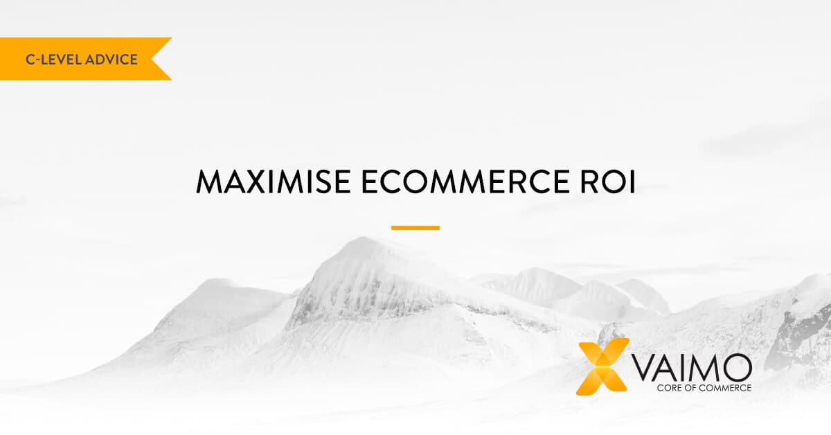 5 Ways to Maximise your Ecommerce ROI - Featured Image