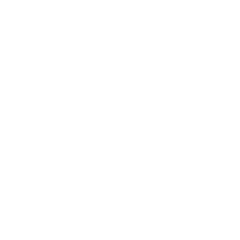 Logo DOMU Brands