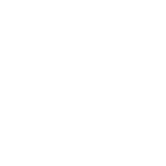 Logo DOMU Brands