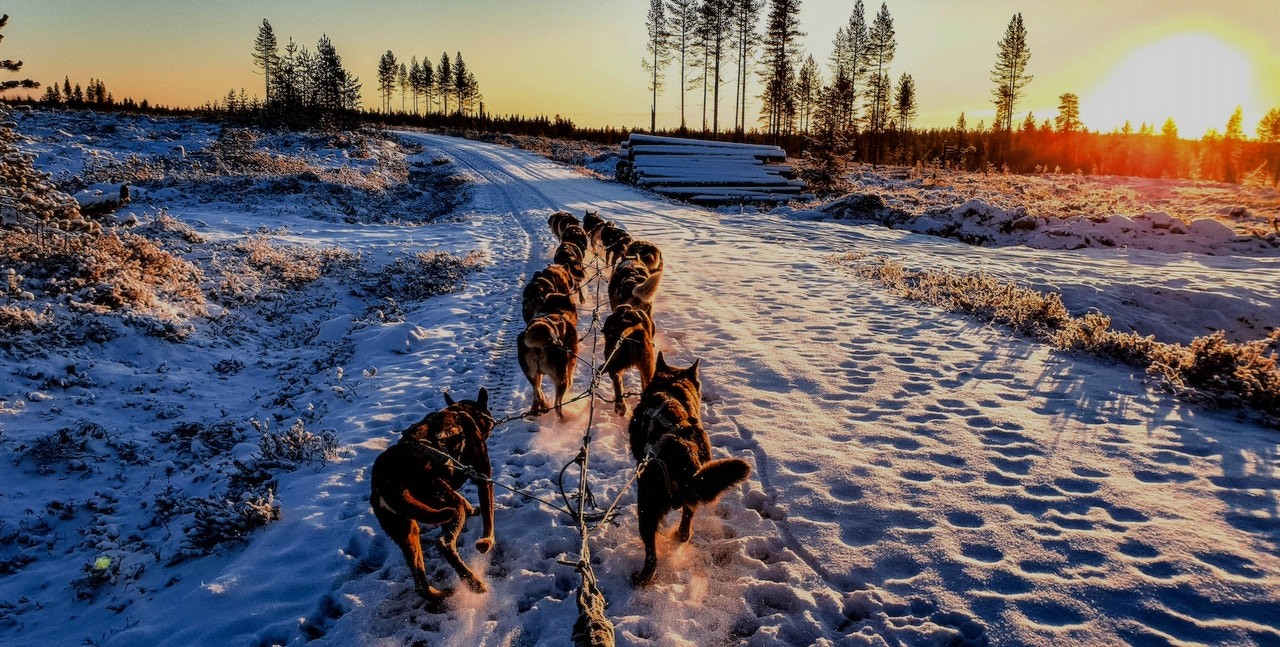 Luhta L-Fashion Group Vaimo