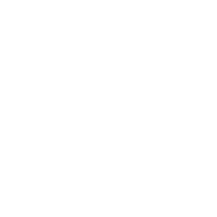 Leroy Merlin