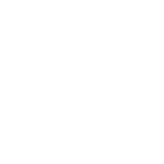 LSA International