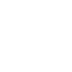 Vaimo & Proactiv+ online store