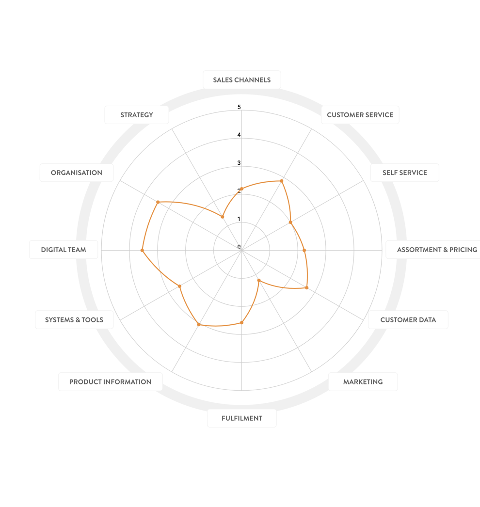 Digital Maturity Wheel