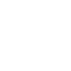 TiAuto