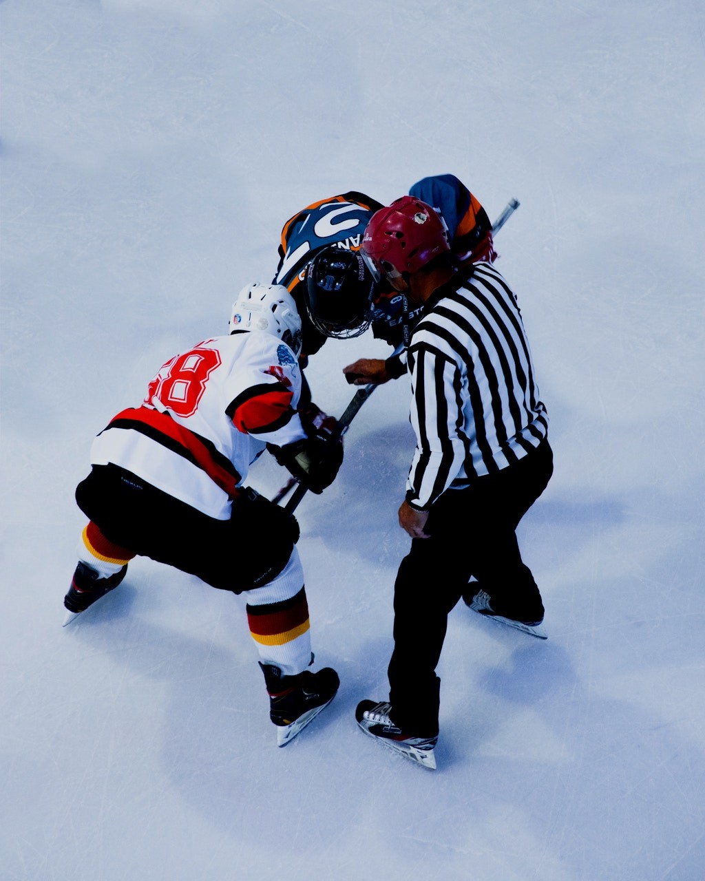 Monkey sports online store by Vaimo