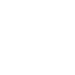 Elan Skis logo