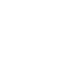 Vaimo & Elon