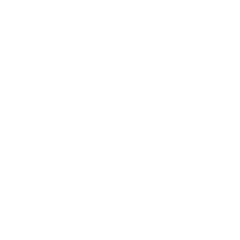 FirstSpear logo