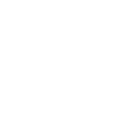 Graco logo