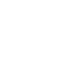 Intcomex logo