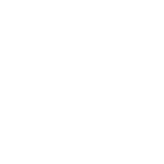 Rogue Fitness USA