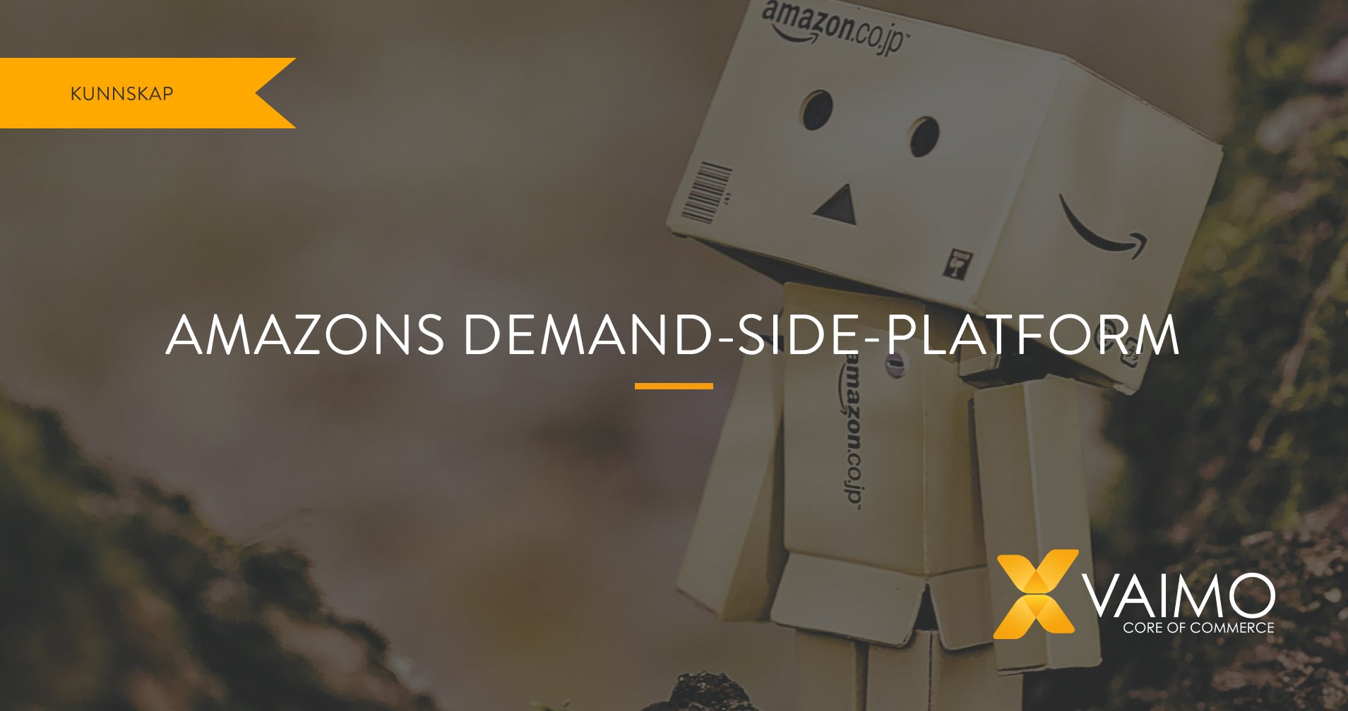 Amazon demand-side-platform