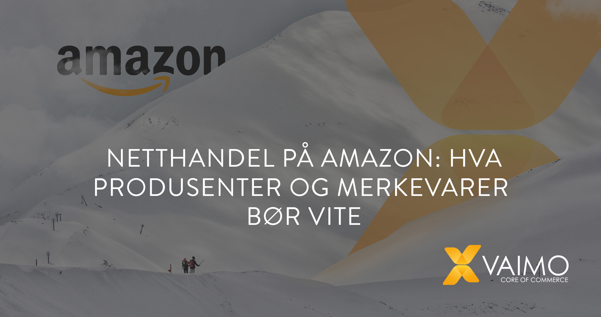 Netthandel Amazon