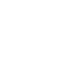 Elan