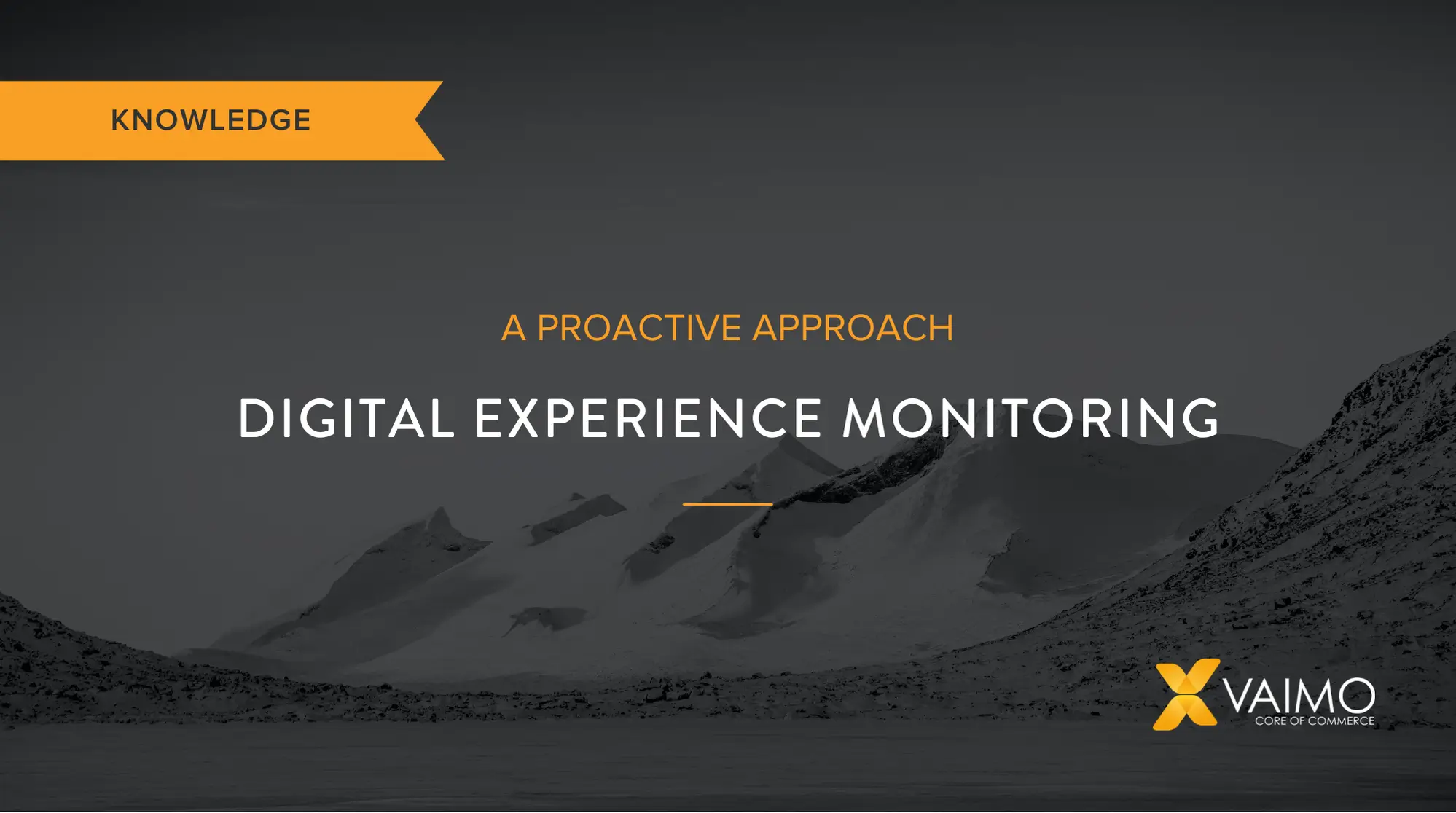 Digital Experience Monitoring