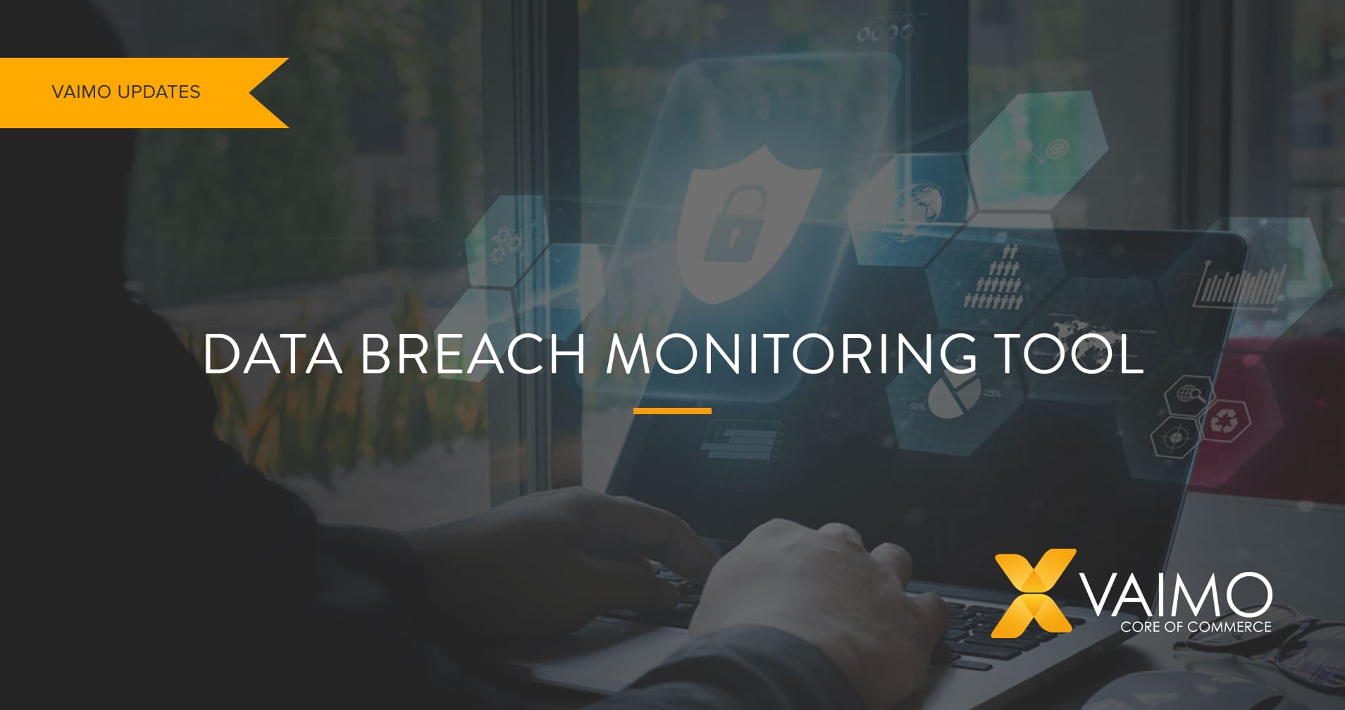 Safeguard Your Business with Vaimo’s New Data Breach Monitoring Tool