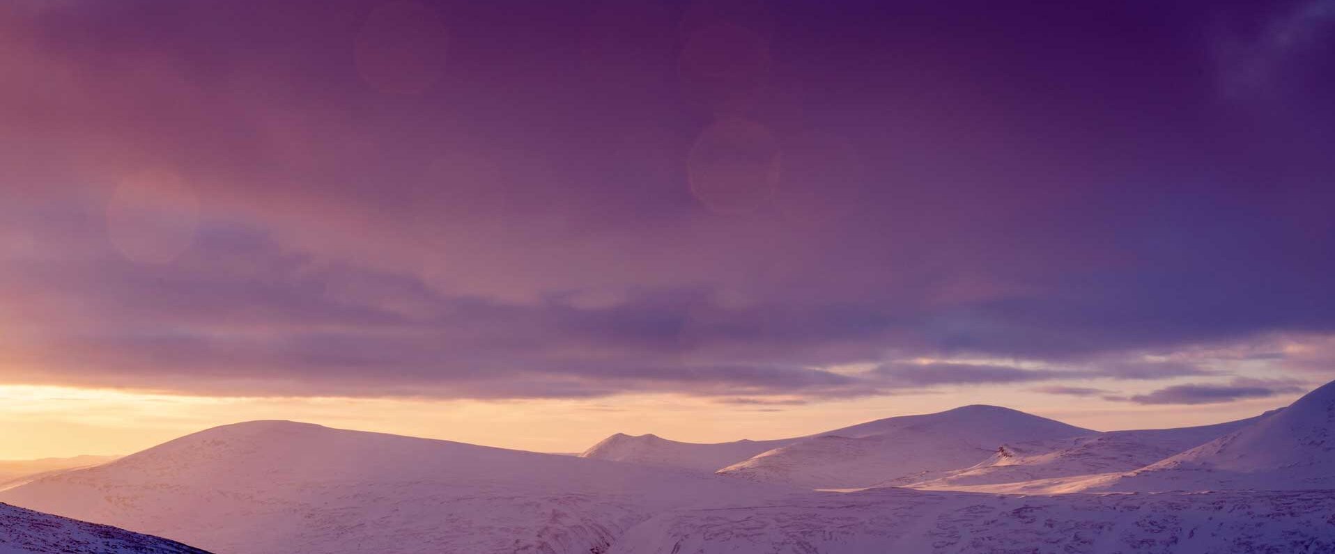 Mountain landscape purple