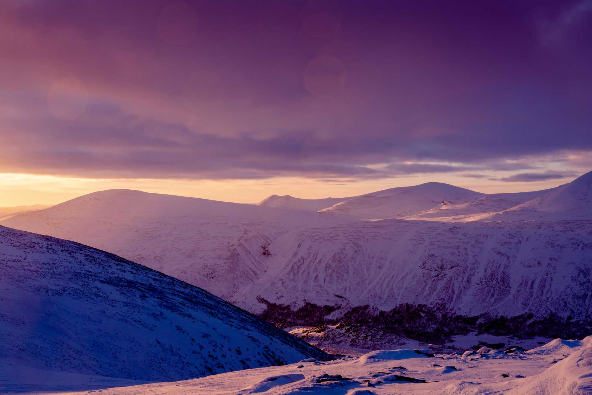 Mountain landscape purple