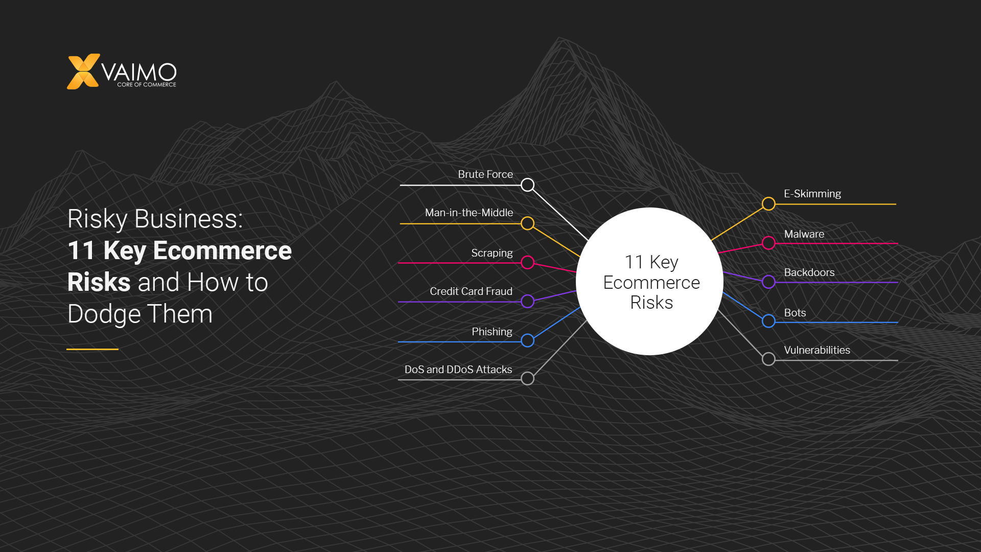 Ecommerce Risks