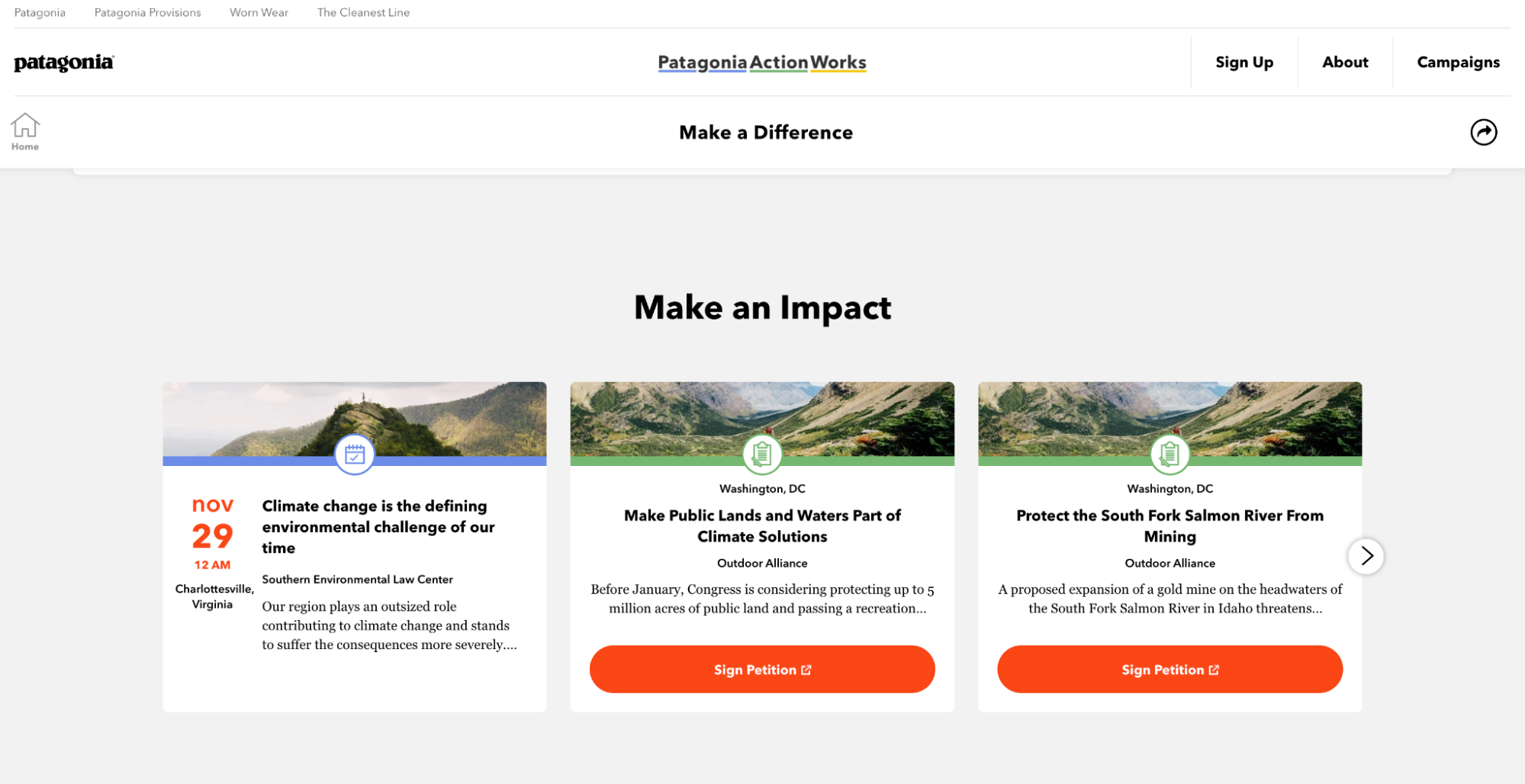 Example of Patagonia's Take Action campaign