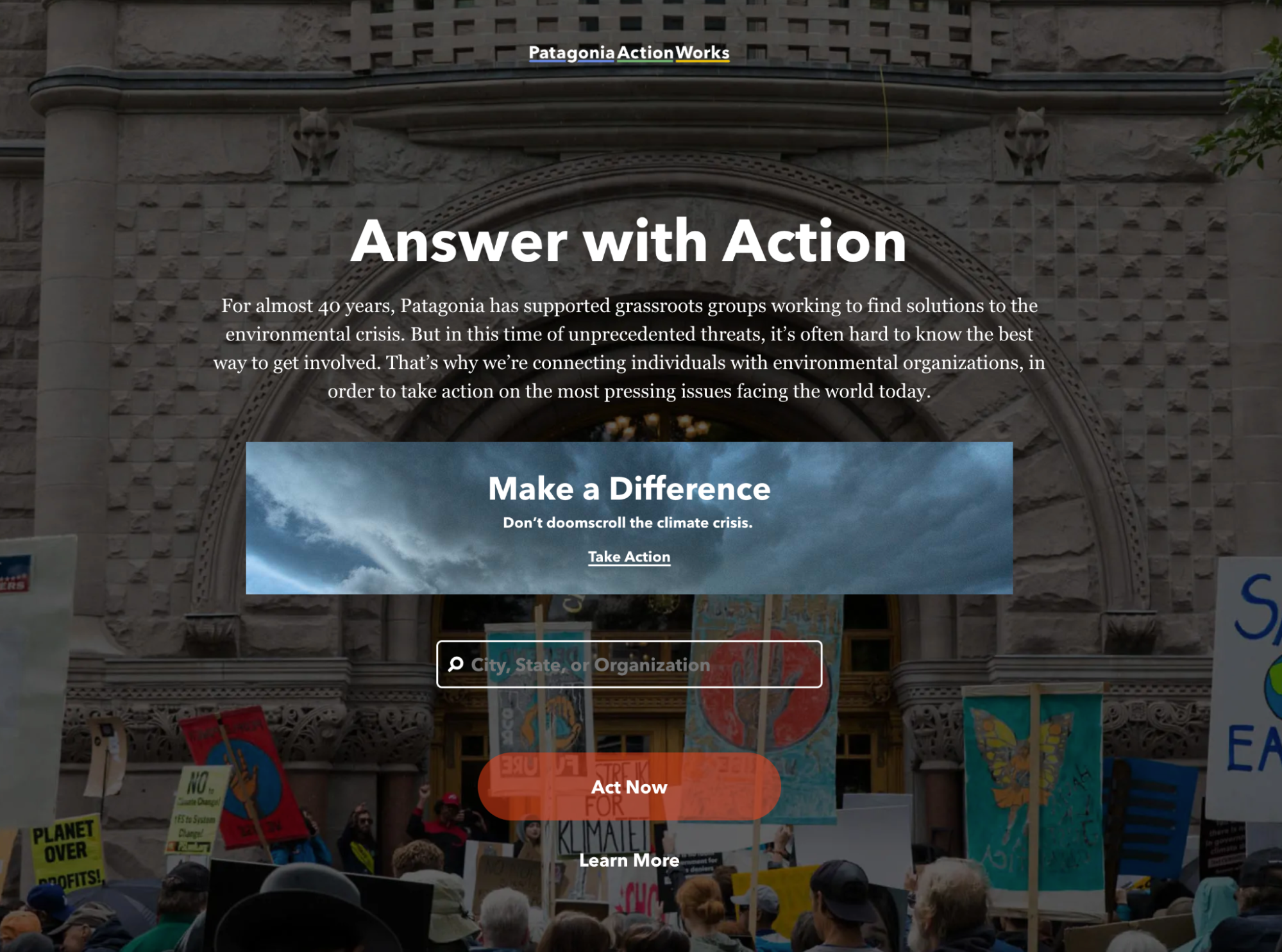 Example of Patagonia's Take Action campaign
