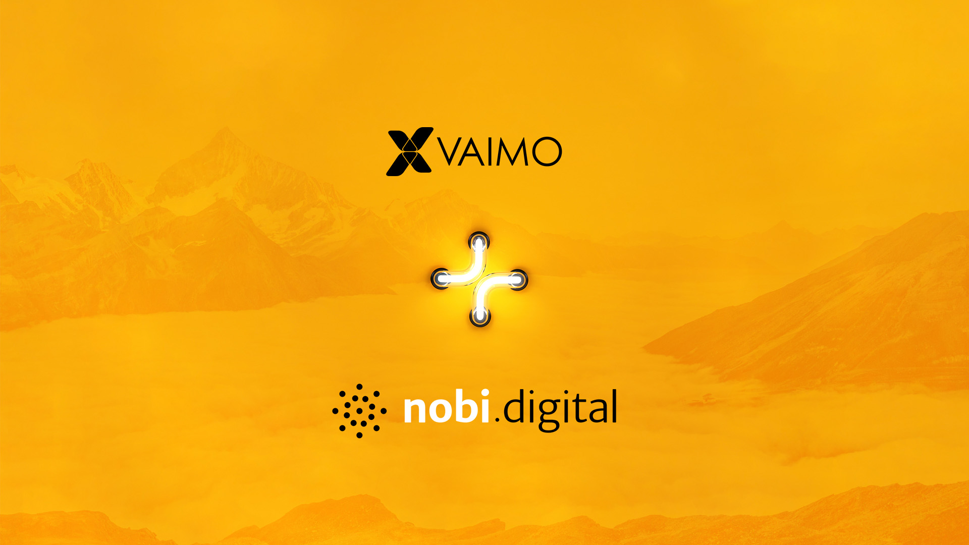 Vaimo abstract press release image (nobi.digital acquisition)