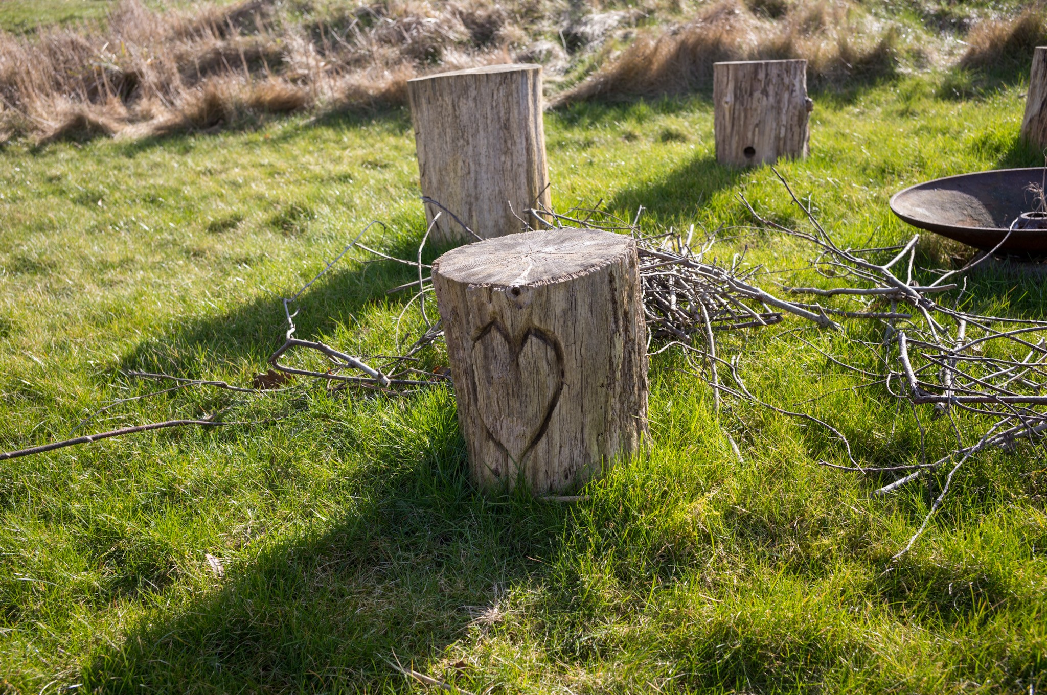 Image of tree stumps with heat carved on the side.