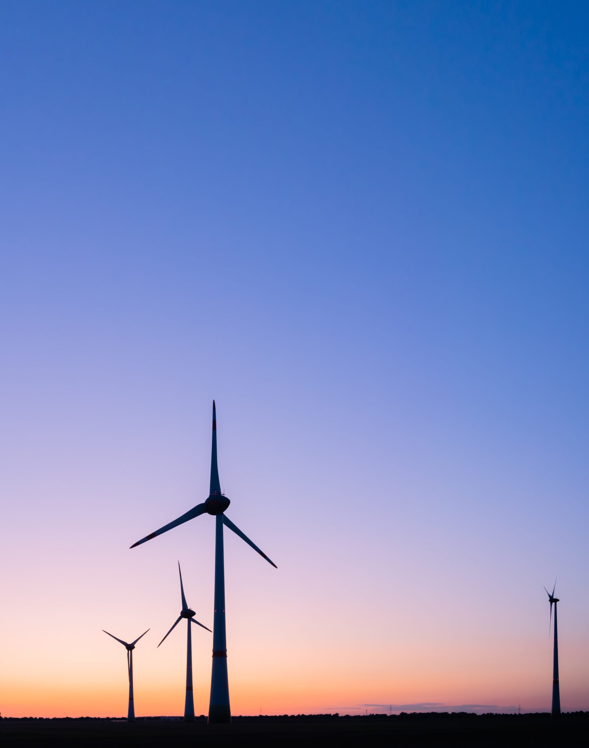 Big wind farm on the background of evening sky.