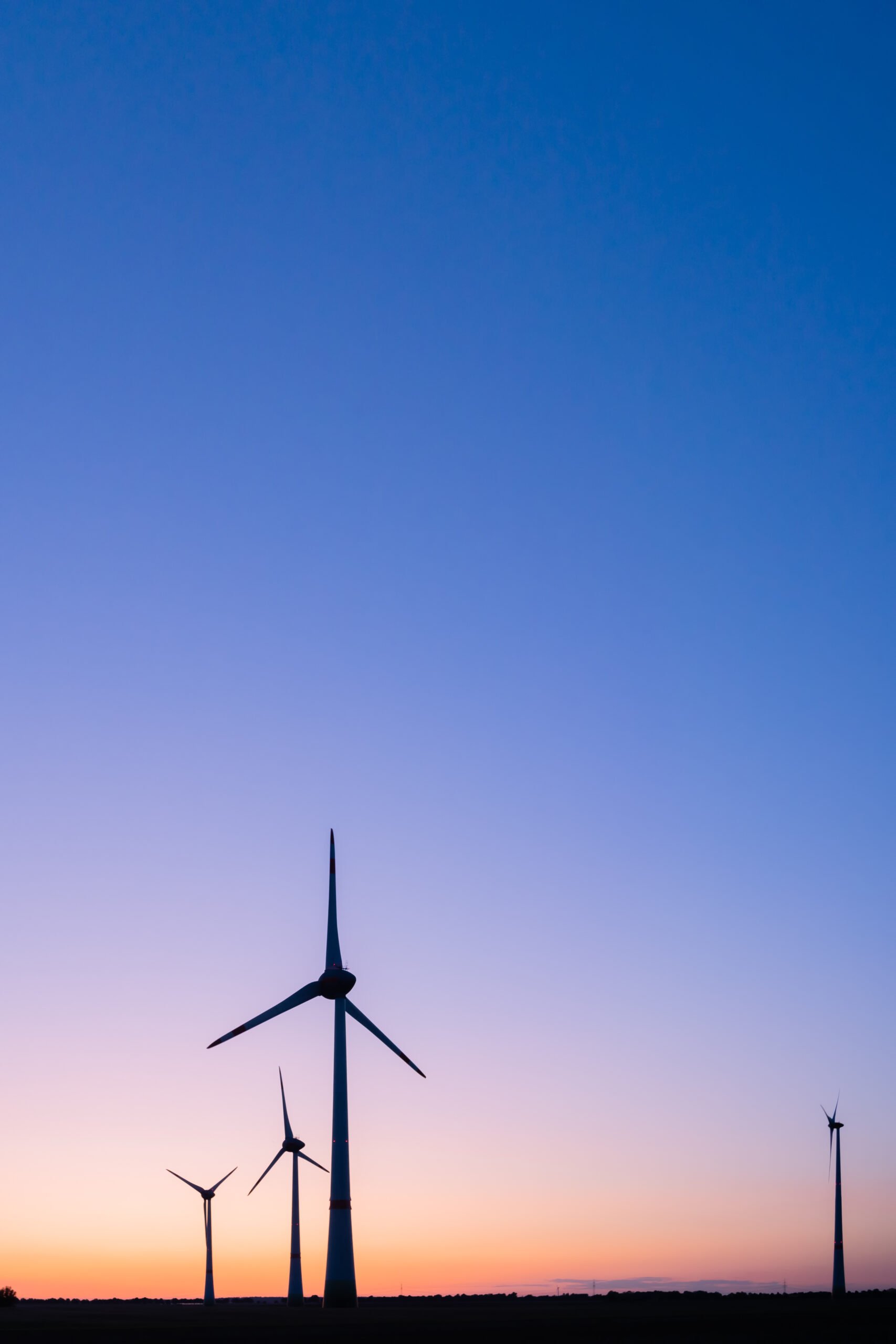 Big wind farm on the background of evening sky.