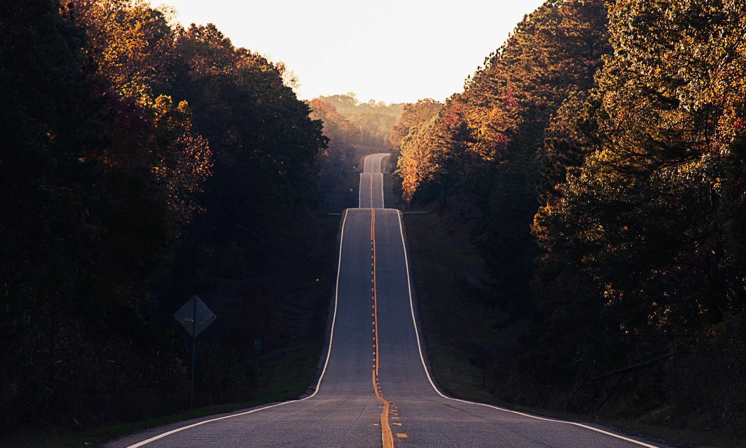 image of empty road in autumn