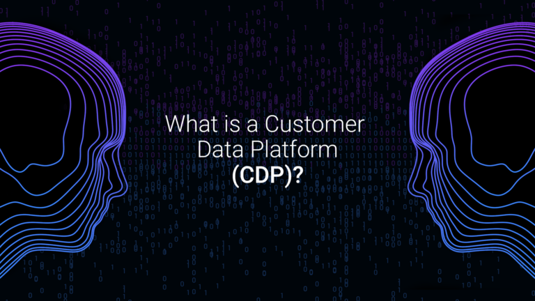 text what is a customer data strategy CDP