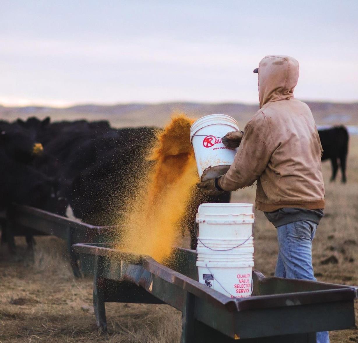 Image of man working on a farm