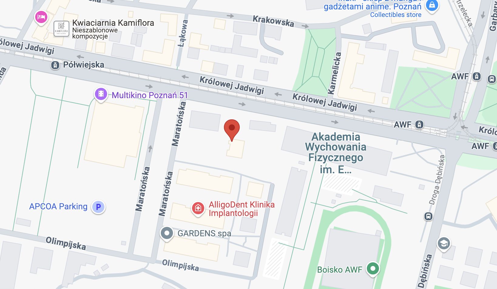 Poznań map