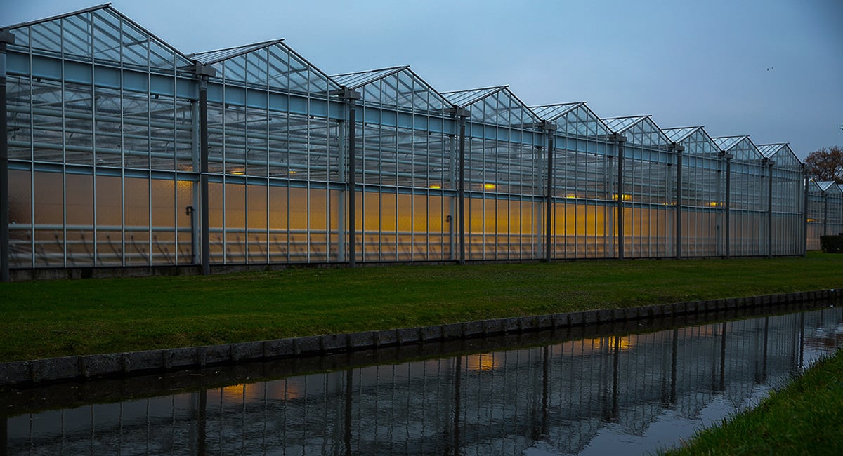 Row of greenhouses