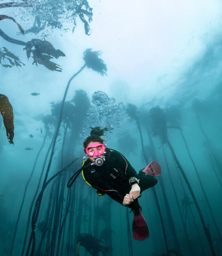 Ocean dive with Suunto watch